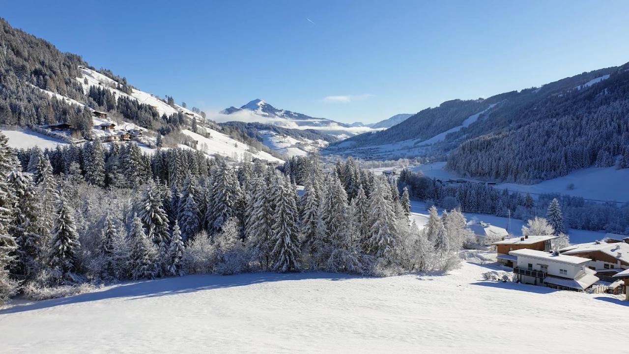 Ferienwohnung Zauberwinkelweg Mit Traum-Aussicht! Wildschoenau Exterior photo